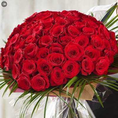 100 Red Rose Grand Gesture